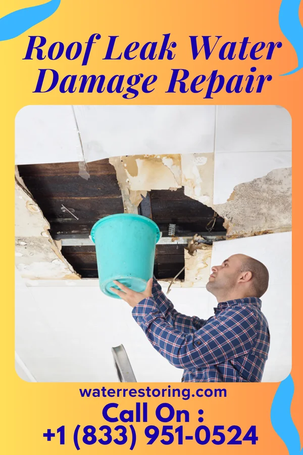 Roof Leak Water Damage Repair in Schuyler, NE