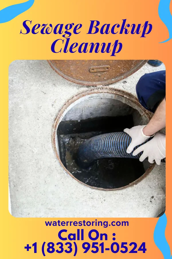 Sewage Backup Cleanup in Schuyler, NE